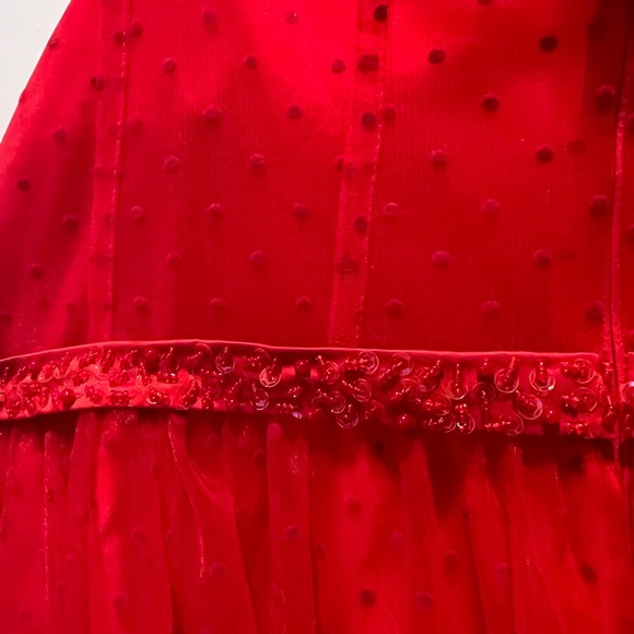 Custom Red Swiss Dot Tulle Corset Bustier Tea Length Gown - Picture 9 of 11
